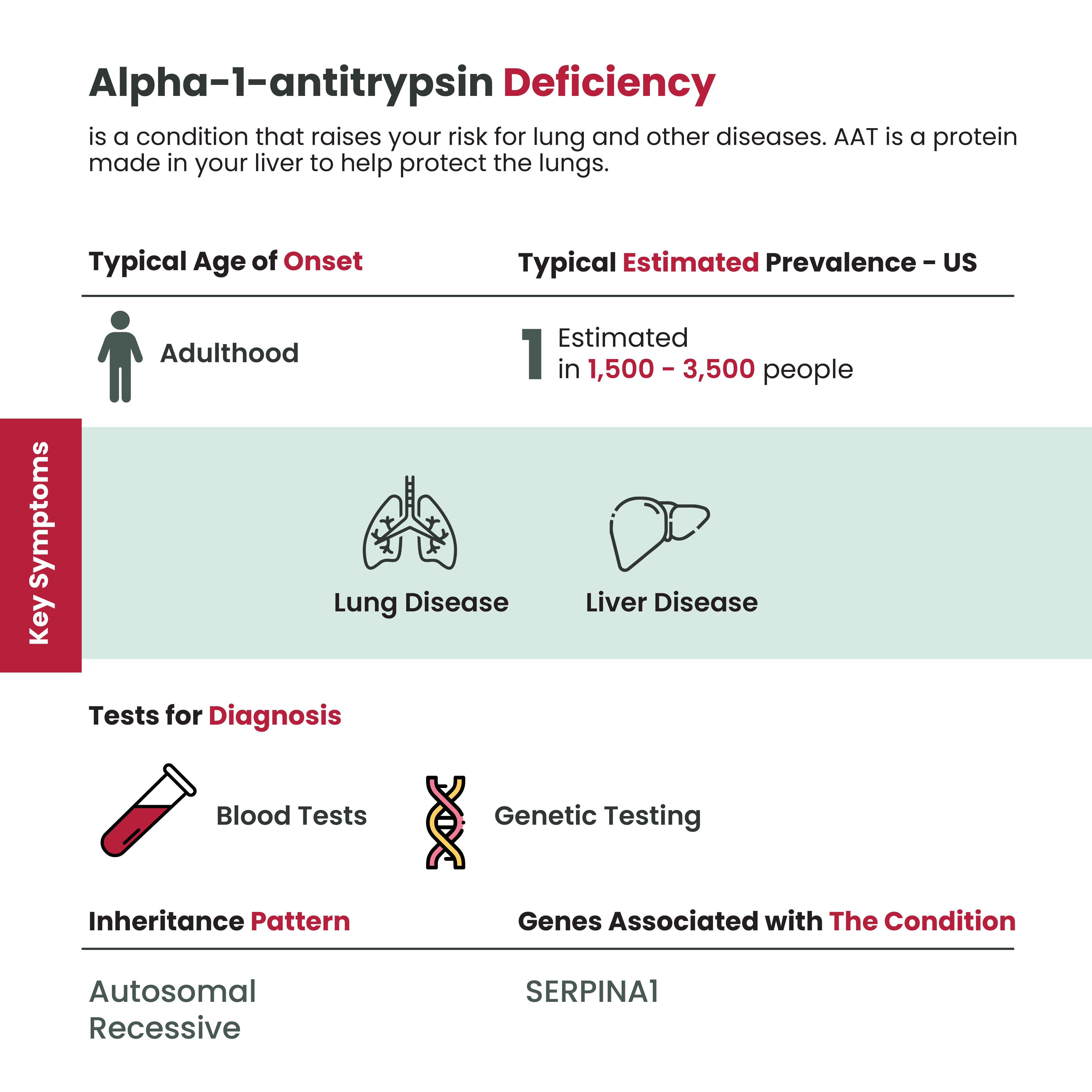 rv alpha 1 antitrypsin deficiency1 https://raremedicalnews.com/wp-content/uploads/2022/01/x-ray-image-roentgen-thorax-stockpack-pixabay-scaled.jpg