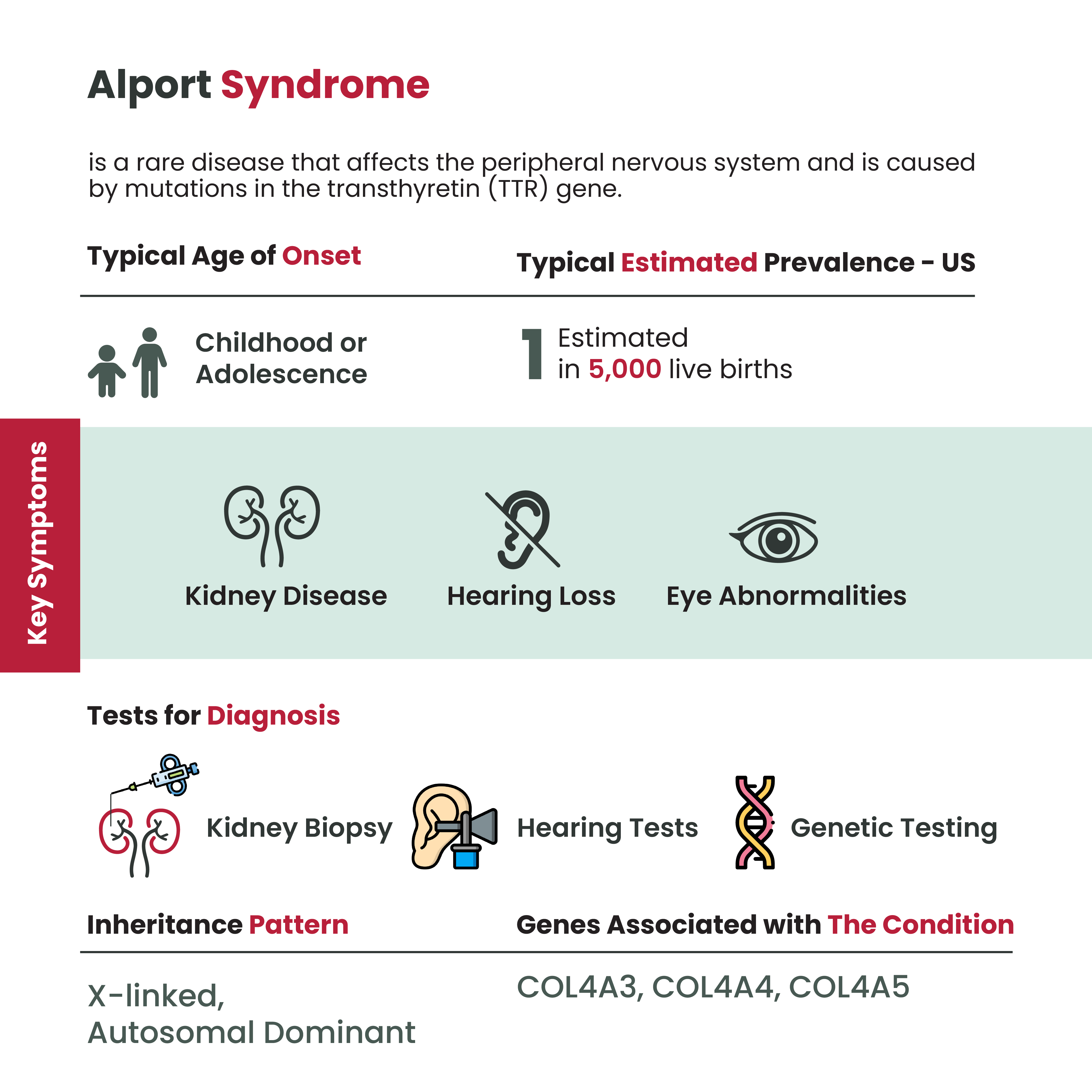 rv alport syndrome1 https://raremedicalnews.com/wp-content/uploads/2024/01/Depositphotos_41329389_L.jpg