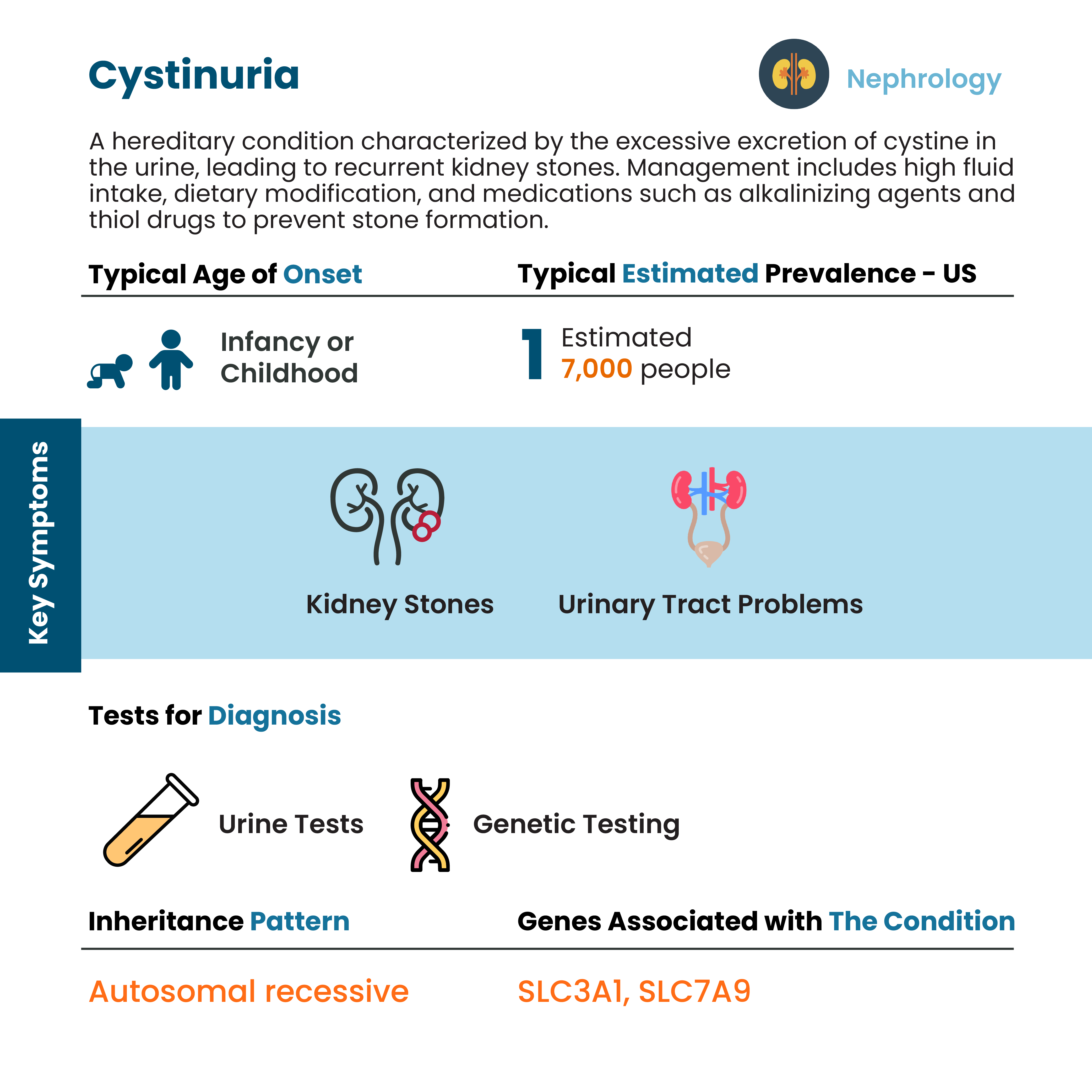 rv cystinuria1 https://raremedicalnews.com/wp-content/uploads/2021/12/kidney-scale-model-in-hand-stockpack-unsplash-scaled.jpg